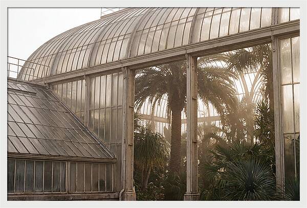City Greenhouse Serenity