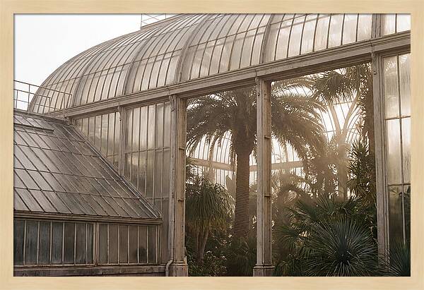 City Greenhouse Serenity