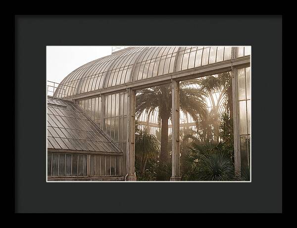 City Greenhouse Serenity