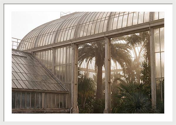 City Greenhouse Serenity