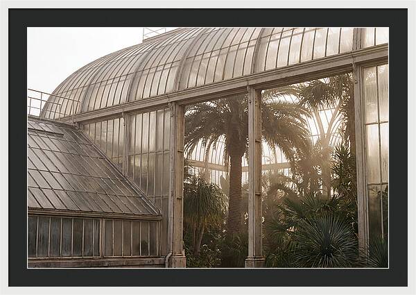 City Greenhouse Serenity