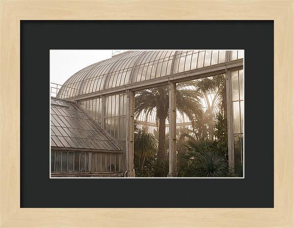 City Greenhouse Serenity