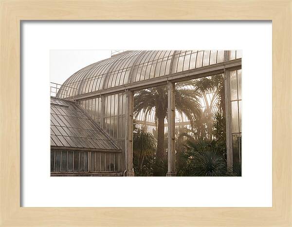 City Greenhouse Serenity