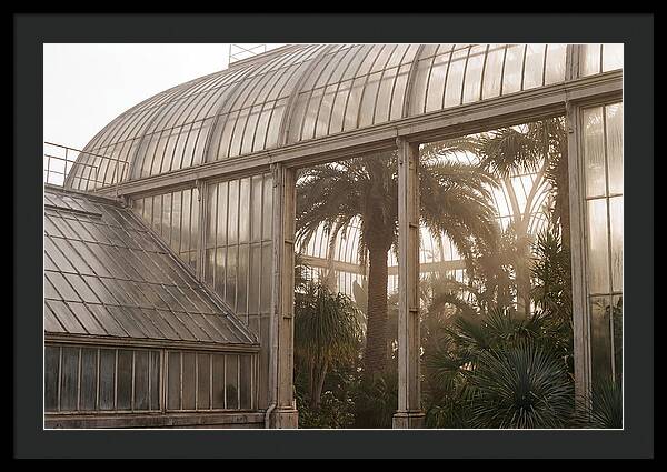 City Greenhouse Serenity