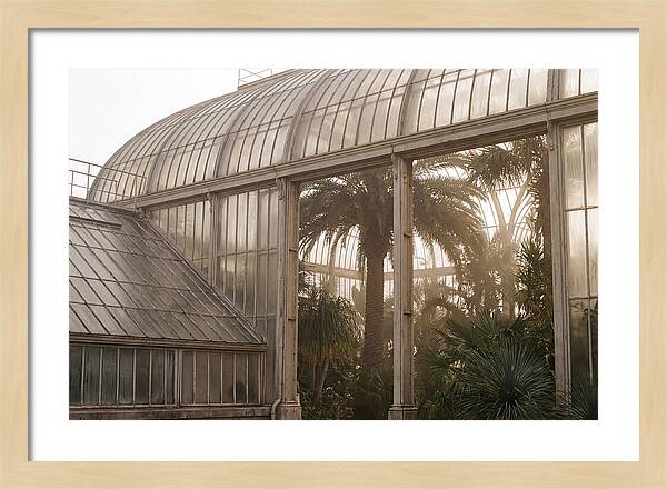 City Greenhouse Serenity