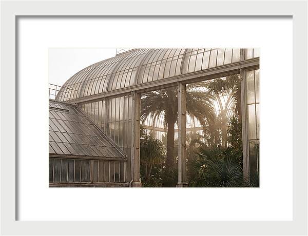 City Greenhouse Serenity