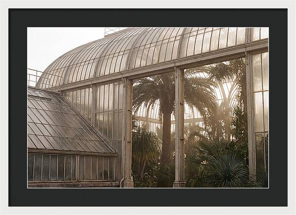 City Greenhouse Serenity