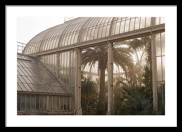 City Greenhouse Serenity
