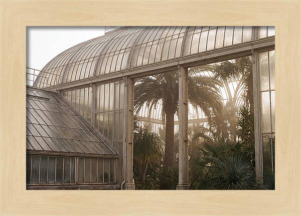 City Greenhouse Serenity
