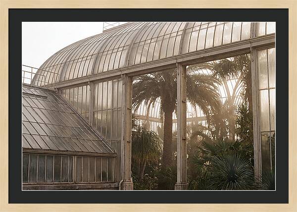 City Greenhouse Serenity