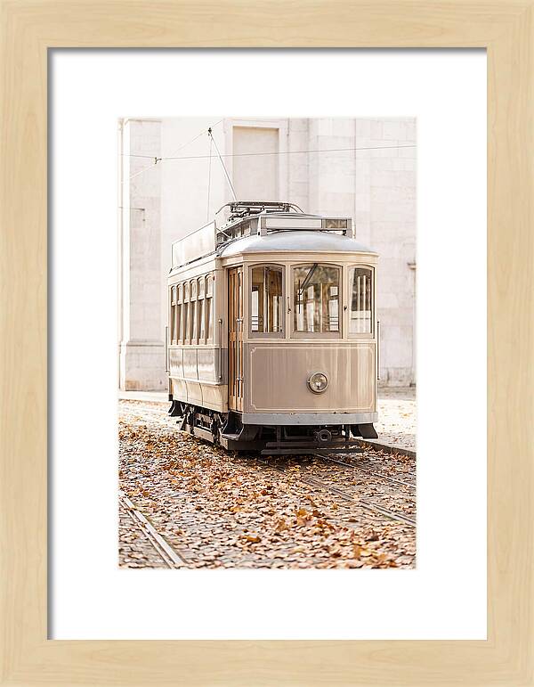 City Heritage Tram Amidst Autumn Leaves