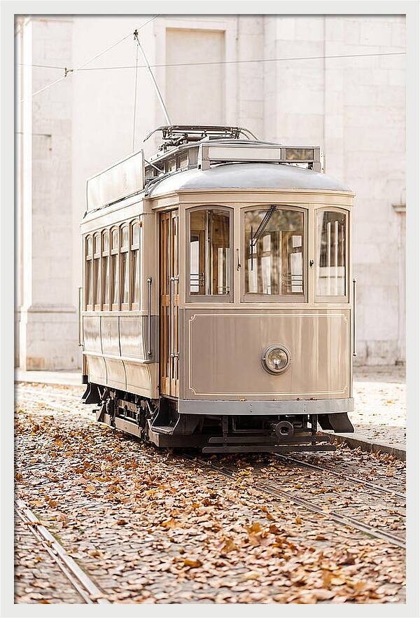 City Heritage Tram Amidst Autumn Leaves