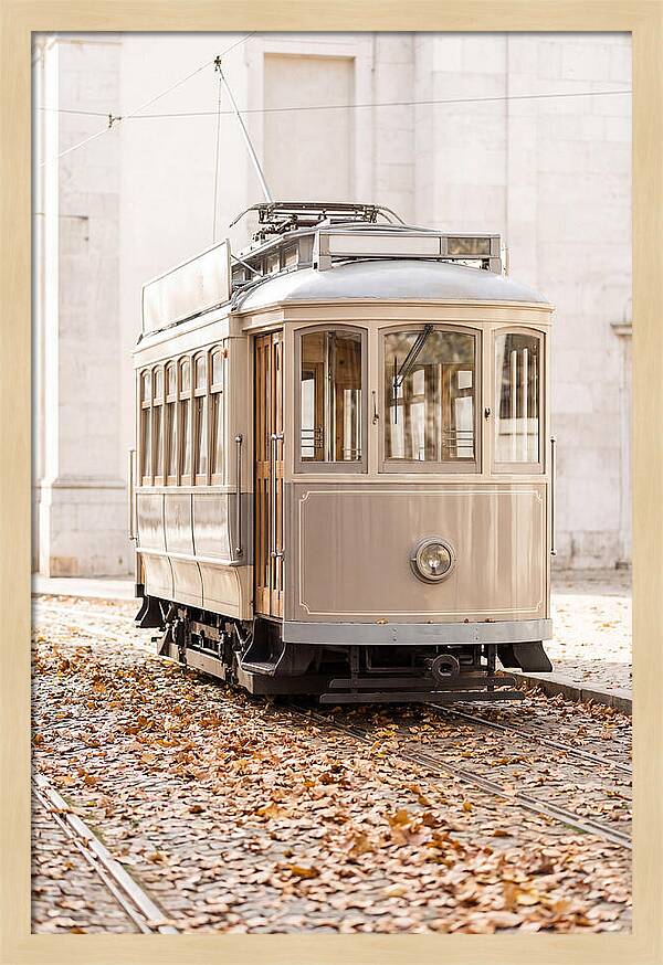 City Heritage Tram Amidst Autumn Leaves