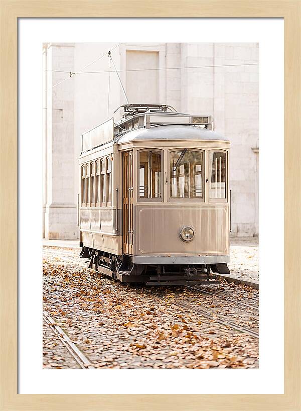 City Heritage Tram Amidst Autumn Leaves