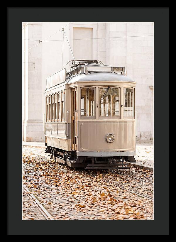 City Heritage Tram Amidst Autumn Leaves