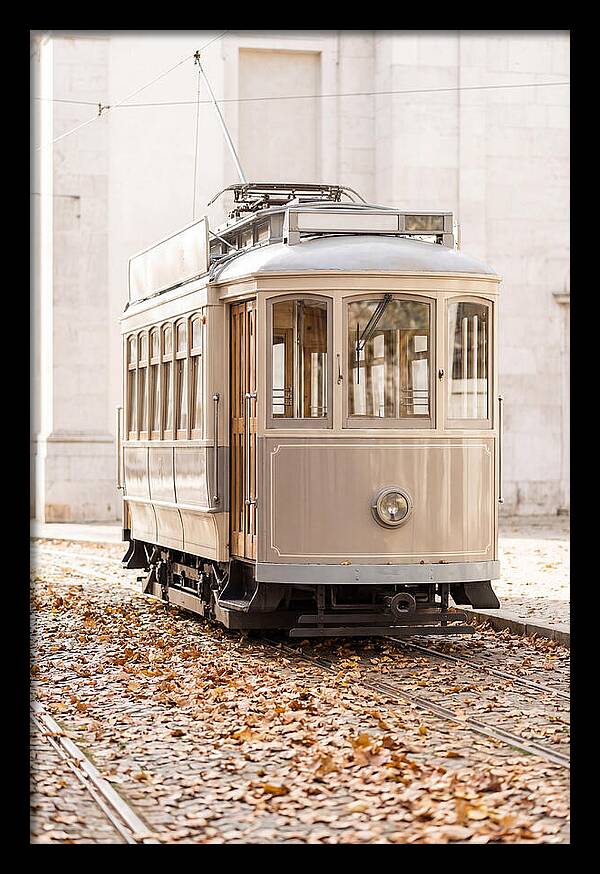 City Heritage Tram Amidst Autumn Leaves