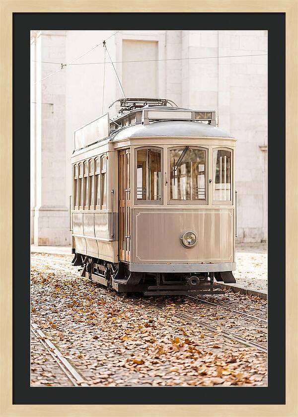 City Heritage Tram Amidst Autumn Leaves