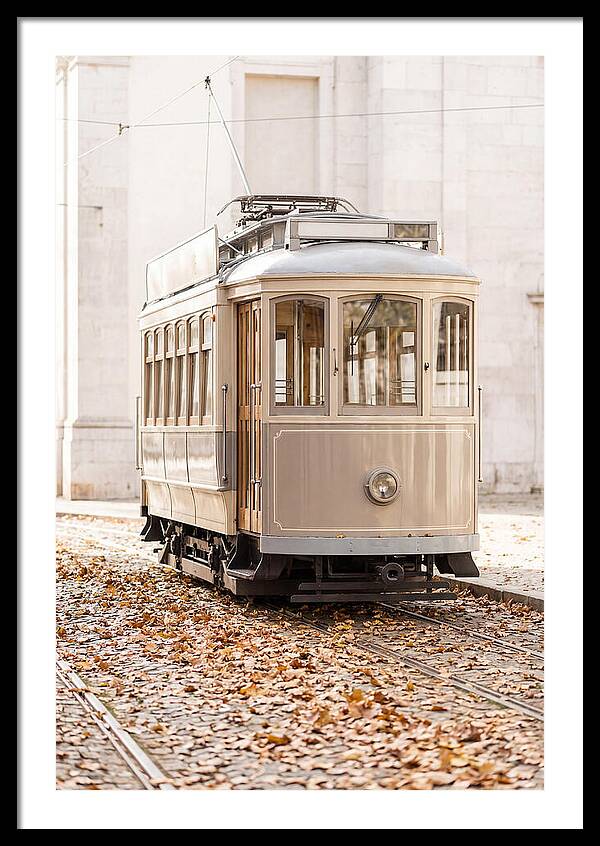 City Heritage Tram Amidst Autumn Leaves