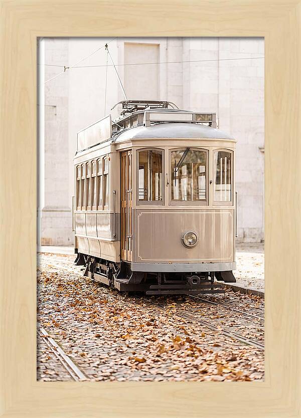 City Heritage Tram Amidst Autumn Leaves