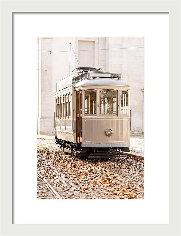 City Heritage Tram Amidst Autumn Leaves