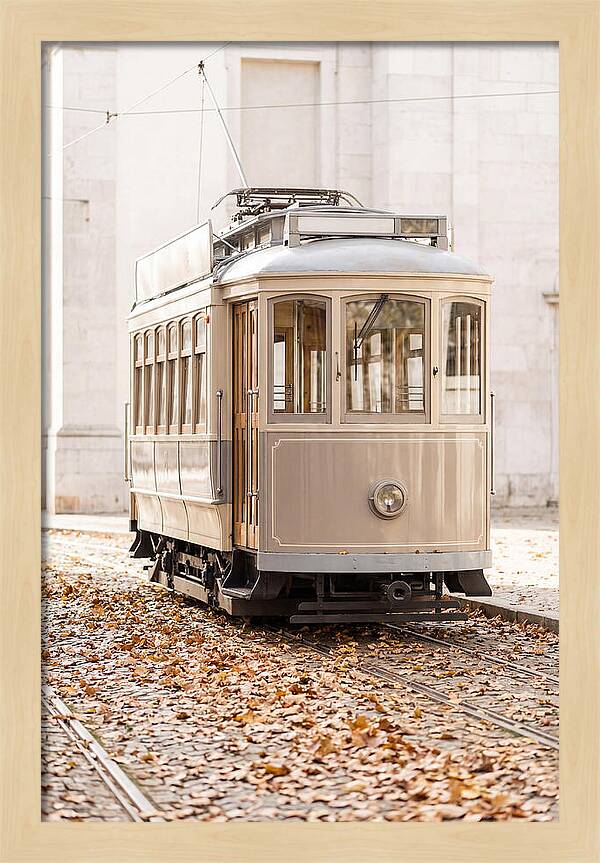 City Heritage Tram Amidst Autumn Leaves
