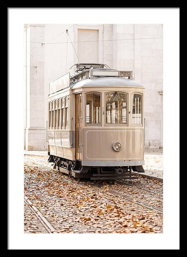 City Heritage Tram Amidst Autumn Leaves