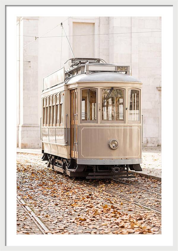 City Heritage Tram Amidst Autumn Leaves