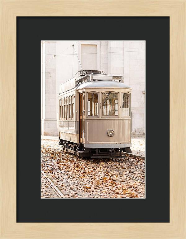 City Heritage Tram Amidst Autumn Leaves