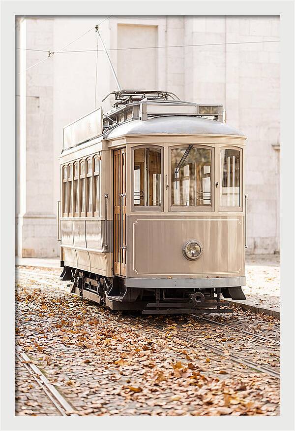City Heritage Tram Amidst Autumn Leaves