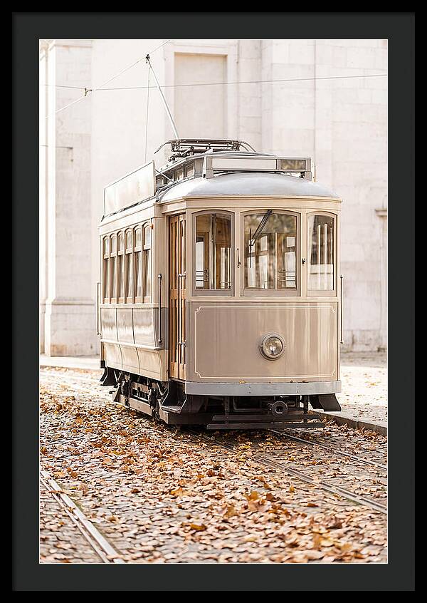 City Heritage Tram Amidst Autumn Leaves
