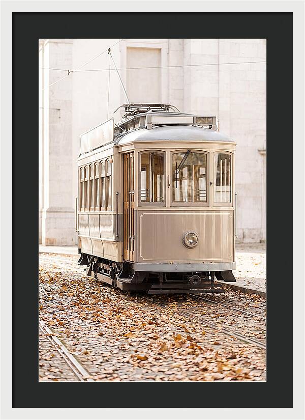 City Heritage Tram Amidst Autumn Leaves