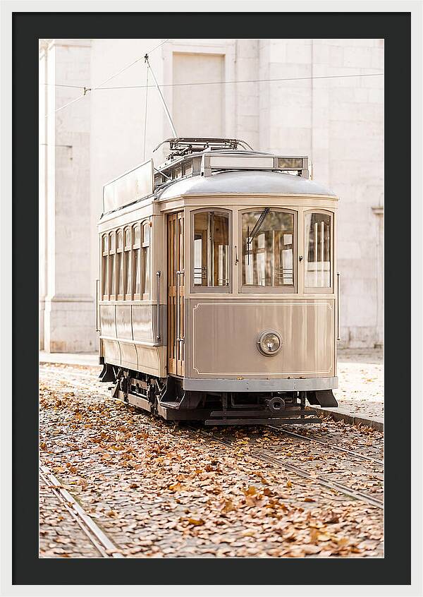 City Heritage Tram Amidst Autumn Leaves