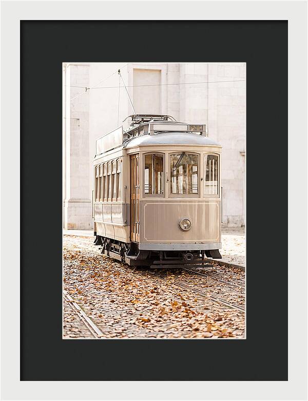 City Heritage Tram Amidst Autumn Leaves