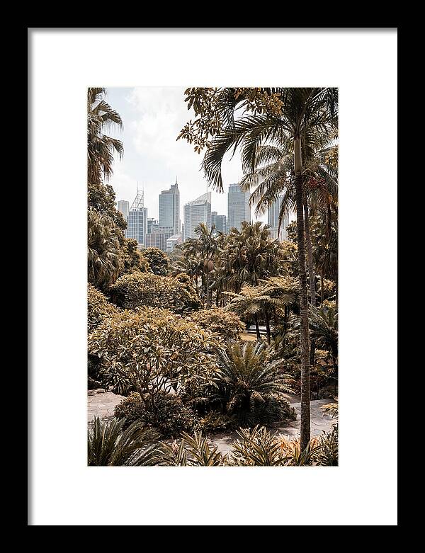 City Oasis With Skyline View