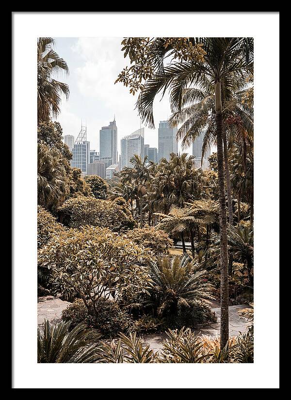 City Oasis With Skyline View