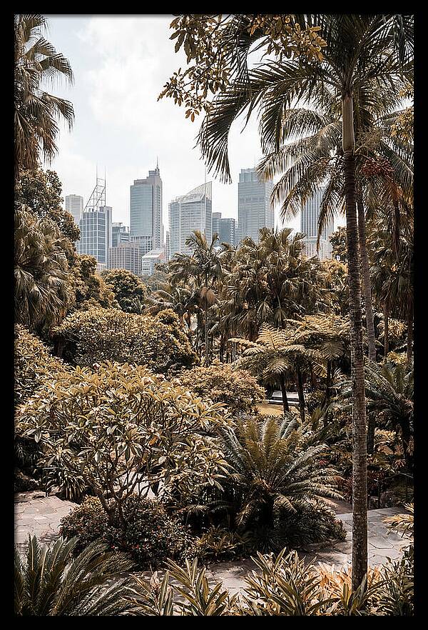 City Oasis With Skyline View