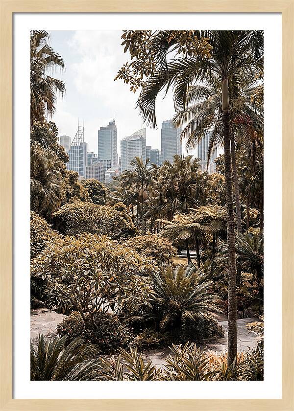 City Oasis With Skyline View