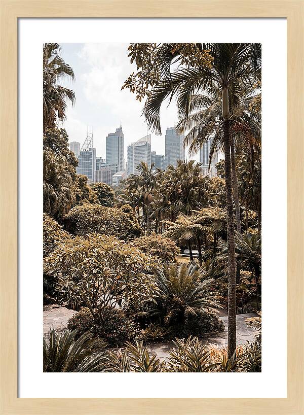 City Oasis With Skyline View