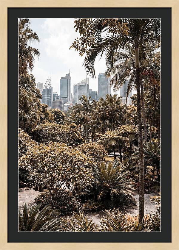 City Oasis With Skyline View