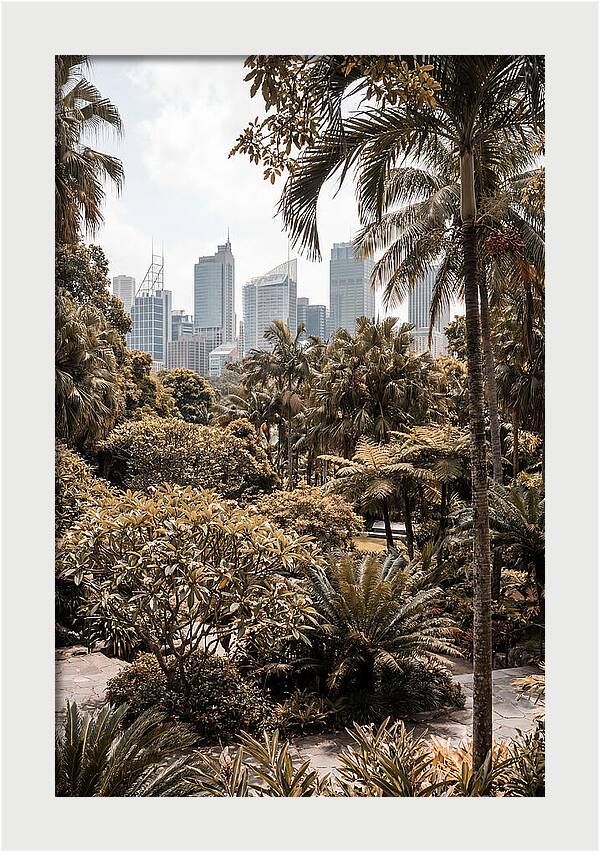 City Oasis With Skyline View