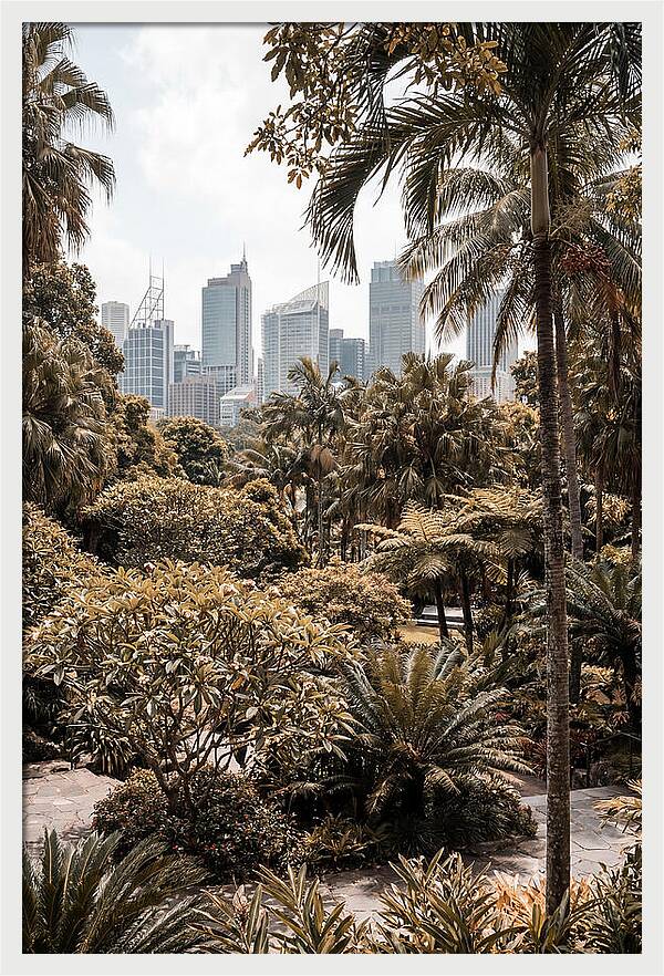 City Oasis With Skyline View