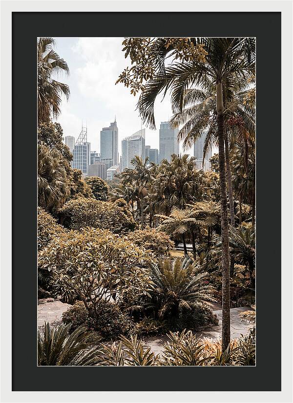 City Oasis With Skyline View