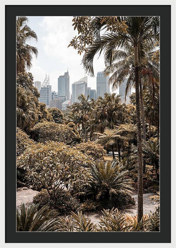 City Oasis With Skyline View