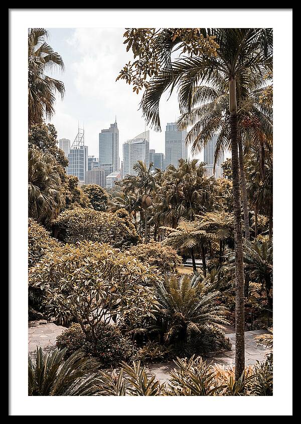 City Oasis With Skyline View