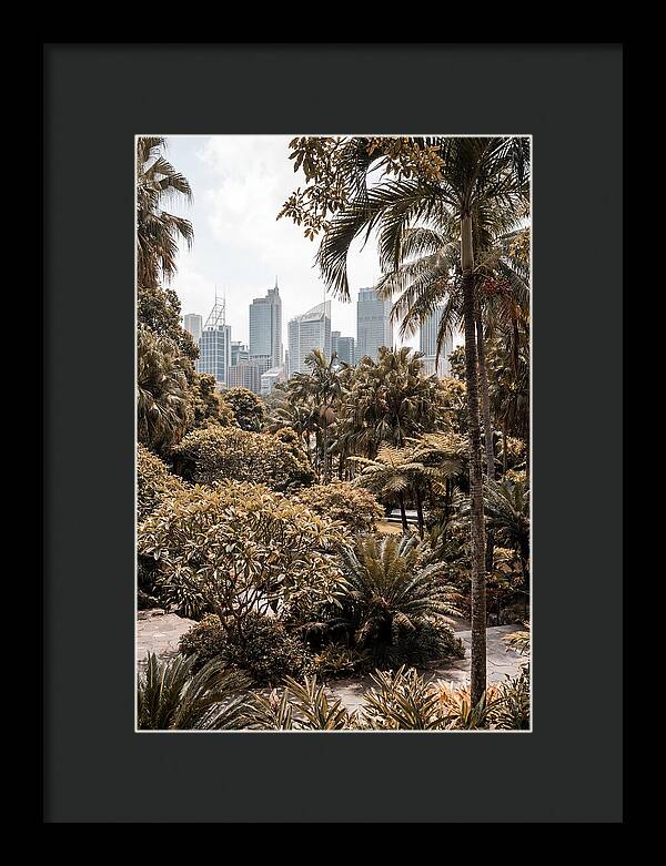 City Oasis With Skyline View
