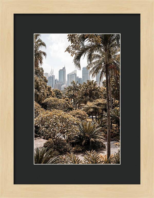 City Oasis With Skyline View