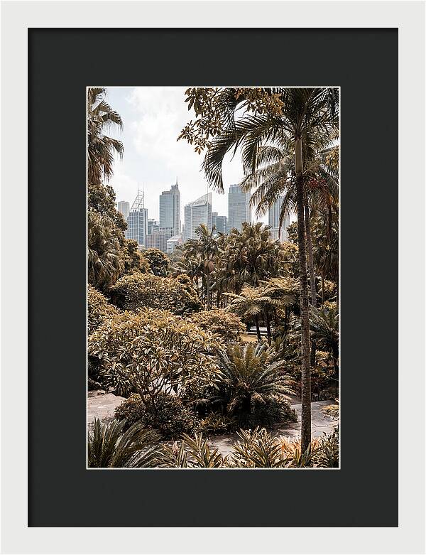 City Oasis With Skyline View