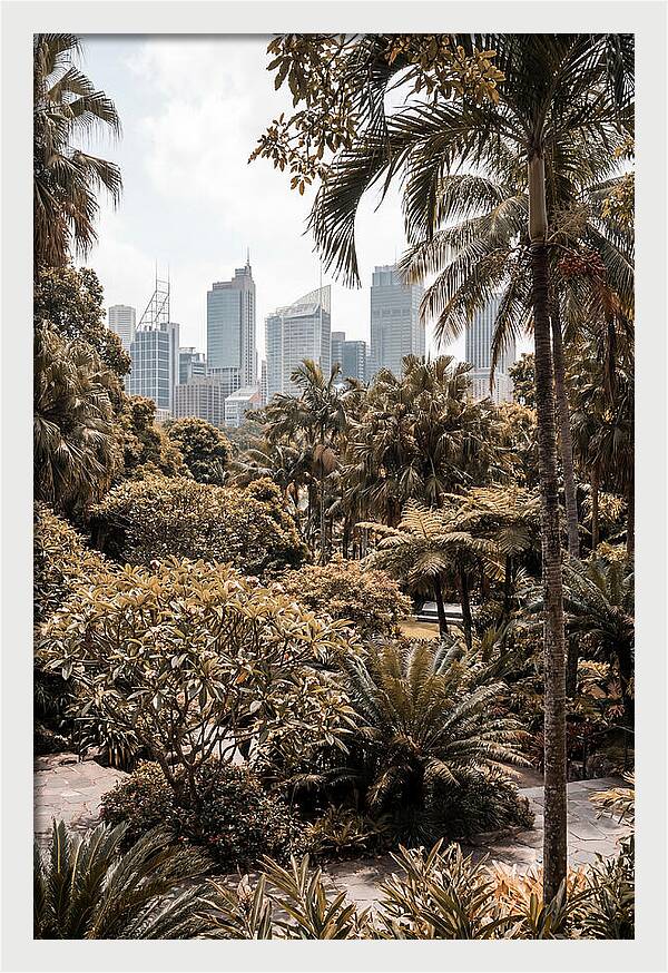 City Oasis With Skyline View