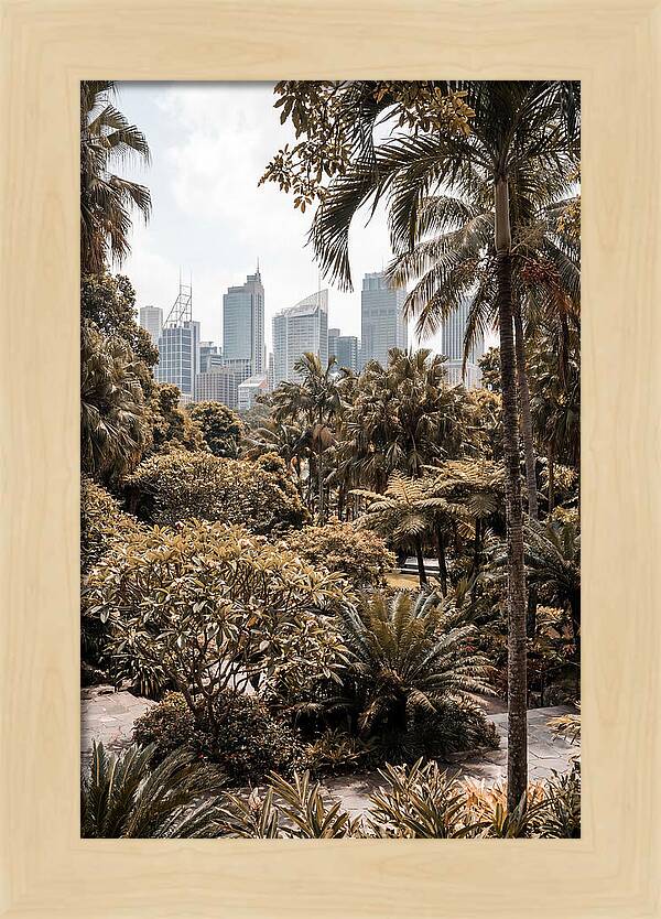 City Oasis With Skyline View