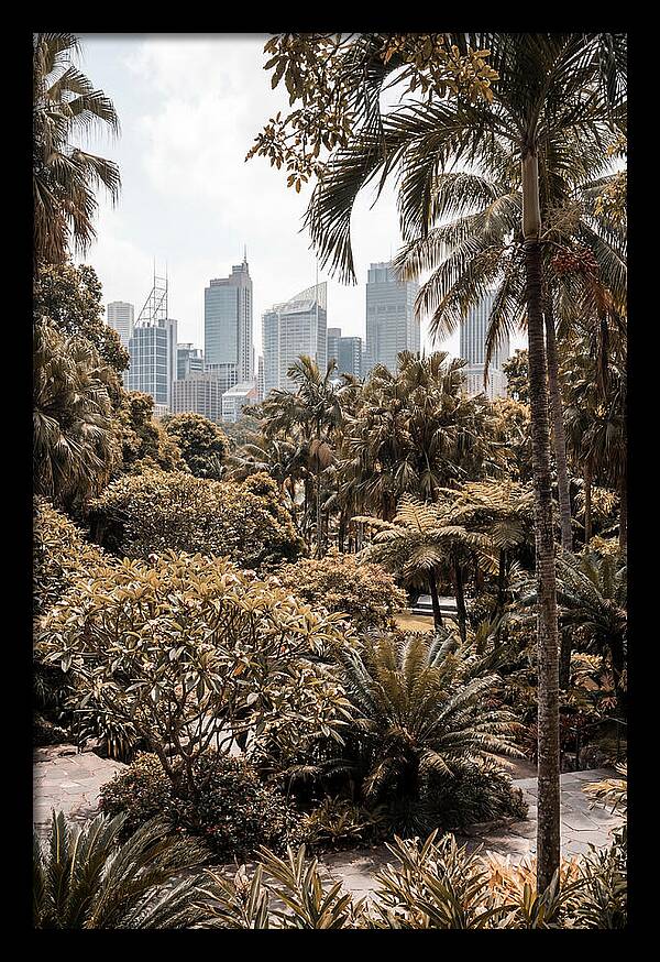 City Oasis With Skyline View